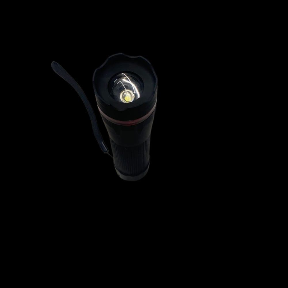 LANTERNA LED 2XR20 1W/70LM