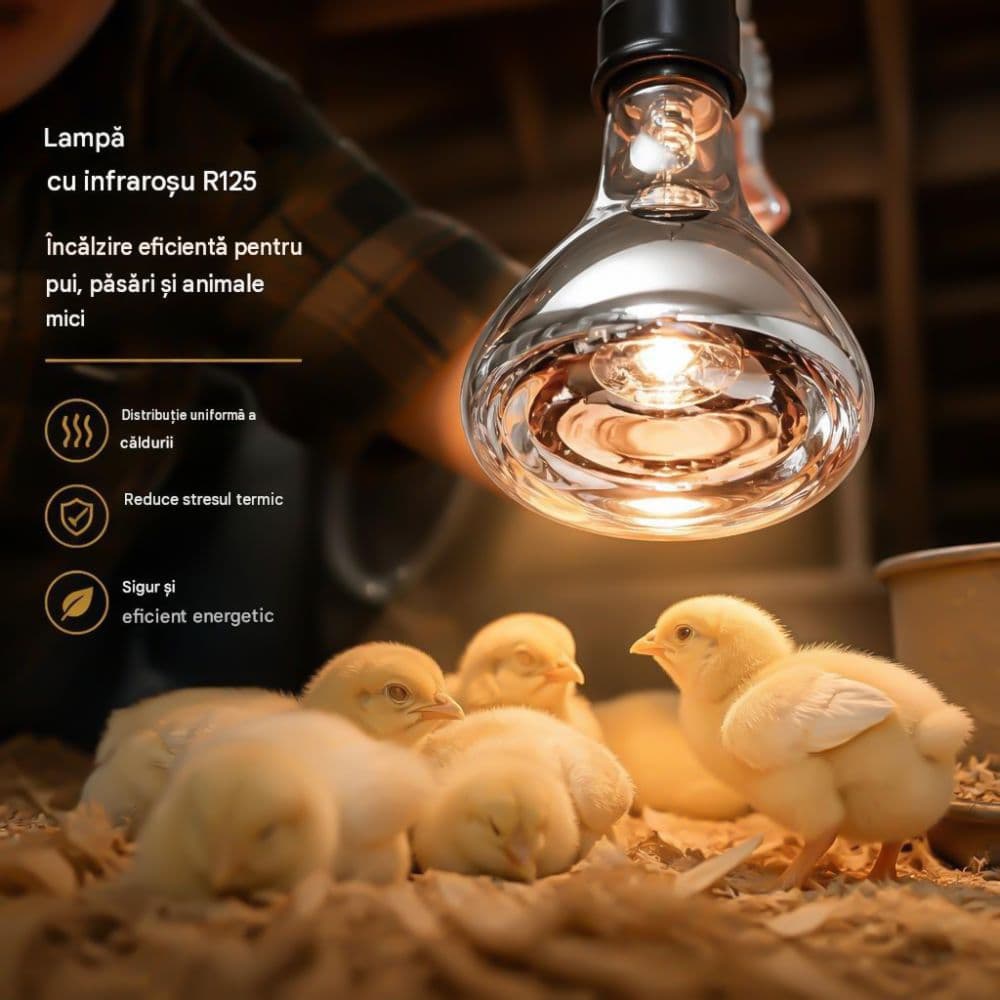 Bec infrarosu pentru incalzire R125,150W, E27, Transparent