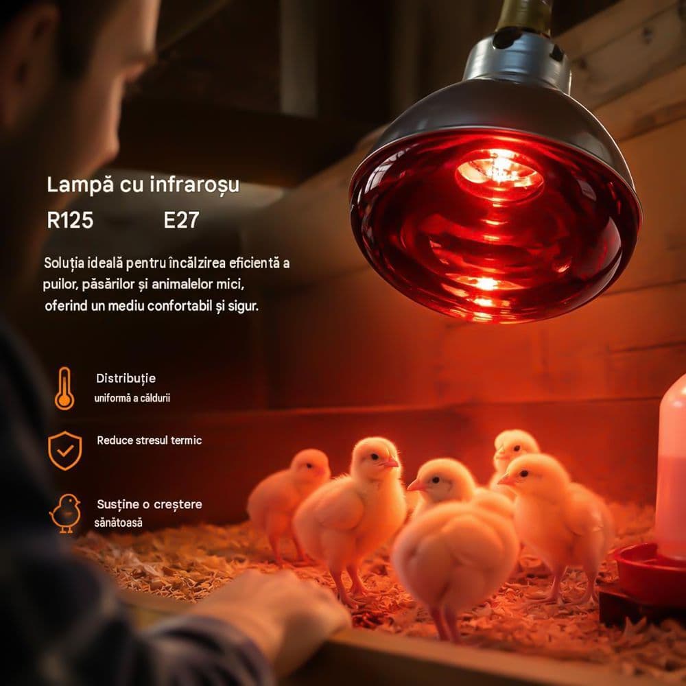 Bec infrarosu pentru incalzire R125, 150W,  E27, Rosu