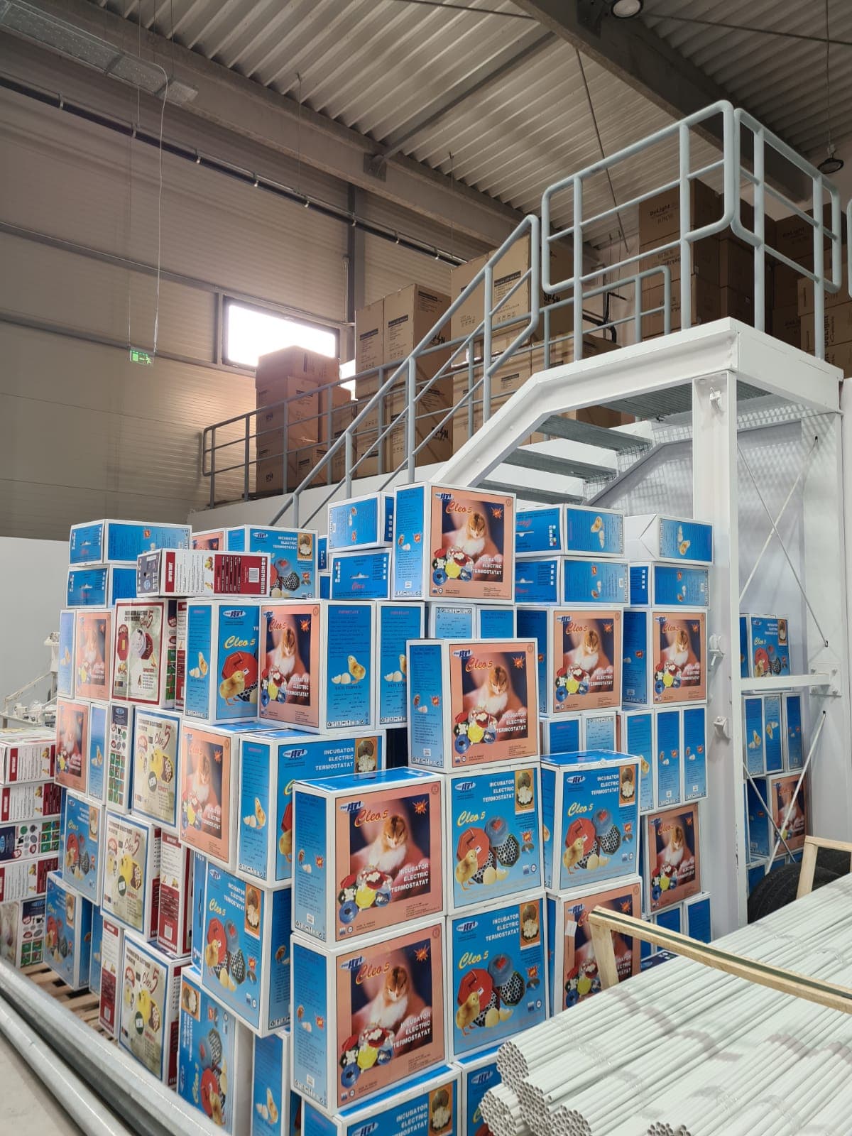Incubator oua Cleo pentru 60 de oua de gaina