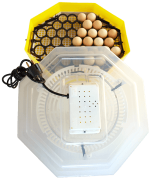 Incubator Oua Cleo Cu Dispozitiv de intoarcere a oualor. Capacitate 41 de oua de gaina
