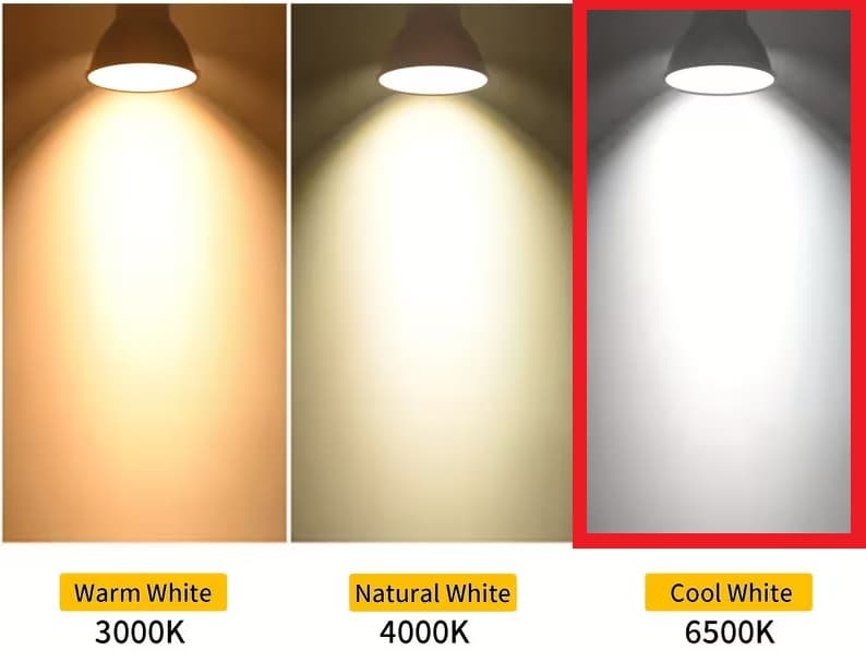 Becuri LED Lumina Rece